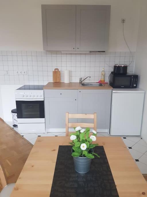 Studio In Dresden Neustadt Louisenstrasse 외부 사진